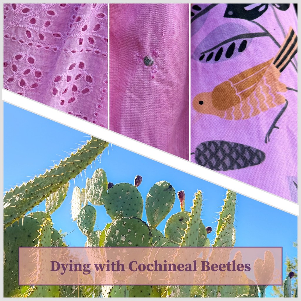 From Cactus to Cloth: Crafting Shades of Red Dyes with Texas Cochineal&nbsp;Beetles