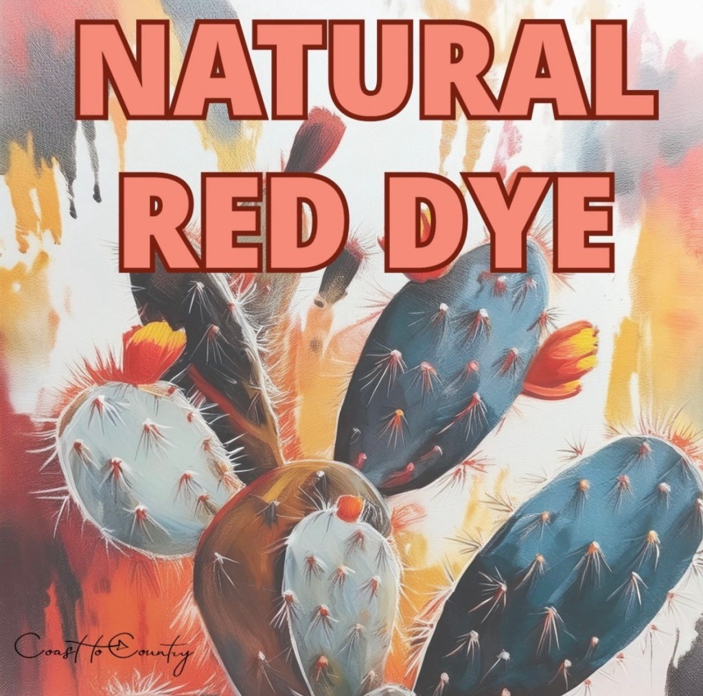 Natural Red Dyes: Exploring History and Creativity&nbsp;Together