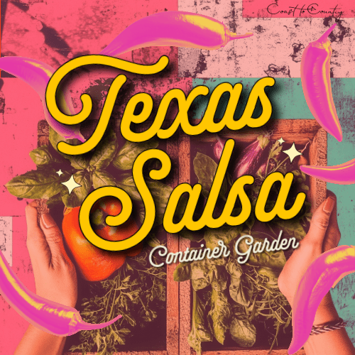Texas Salsa: Container Gardening&nbsp;🌶️🌼🌱