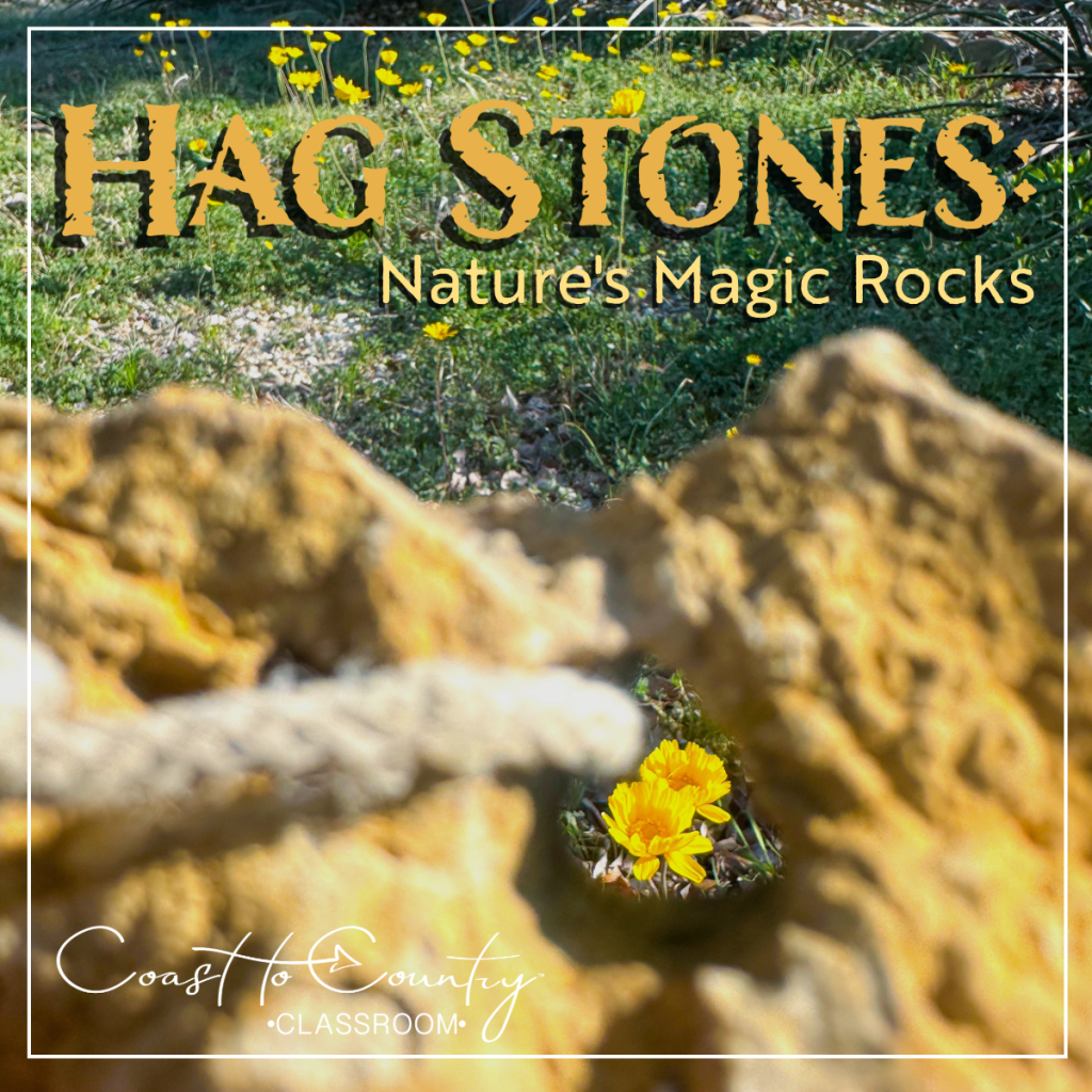 Hag Stones: Nature’s Magic&nbsp;Rocks