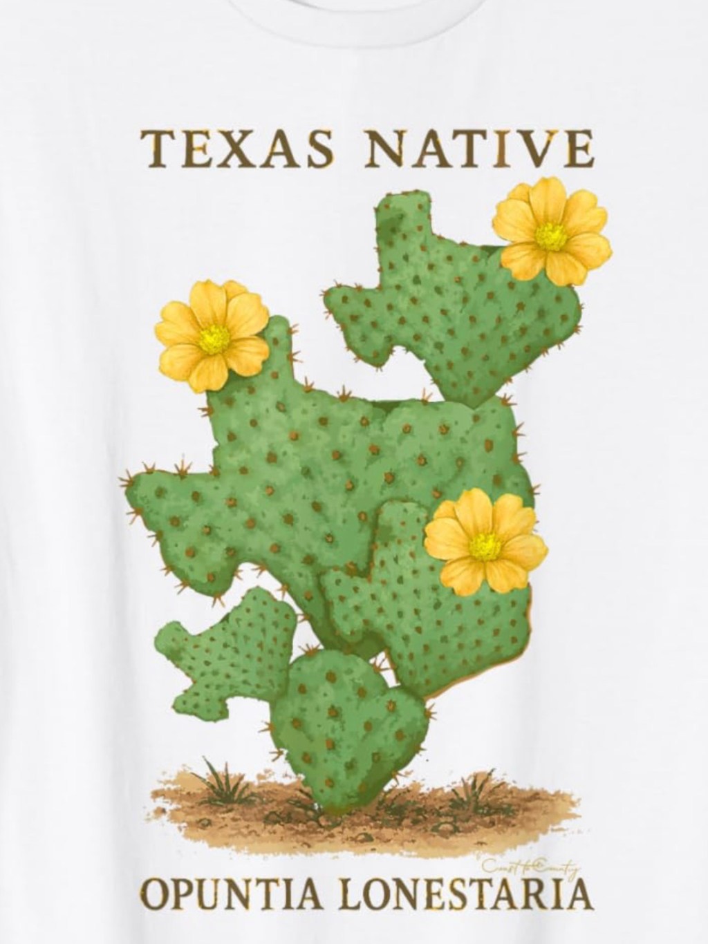 🌵 Meet&nbsp;Opuntia lonestaria&nbsp;— The Cactus with a Lone Star&nbsp;Twist