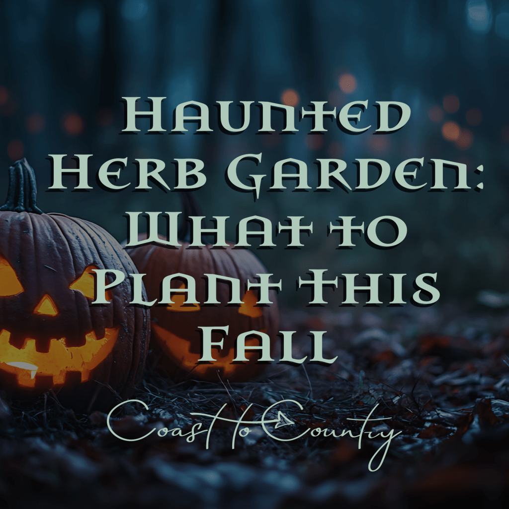 🌿 Fall Herb & Garlic Planting Tips: Grow Magic This&nbsp;Halloween