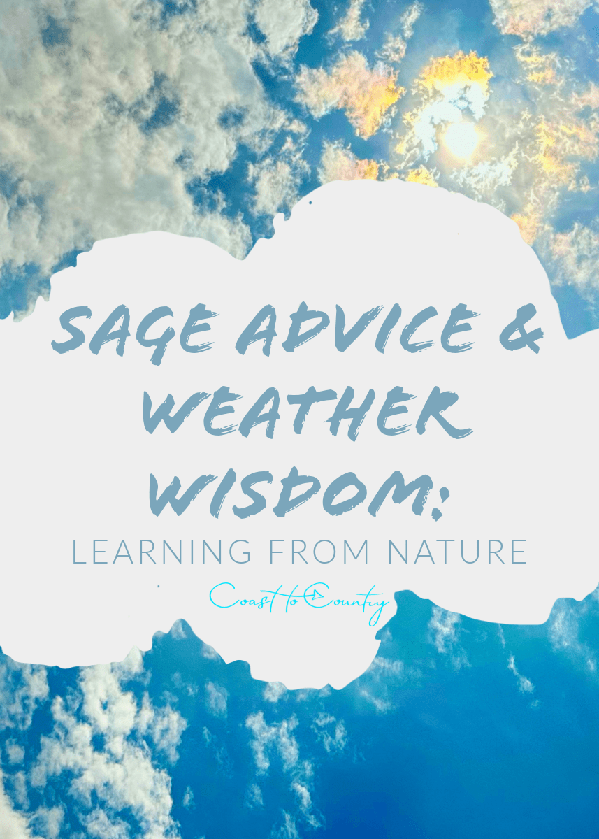 Sage Advice & Weather Wisdom: Learning from&nbsp;Nature